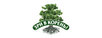 Зри в корень