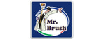 MR BRUSH