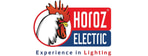 HOROZ ELECTRIC