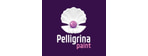 PELLIGRINA PAINT