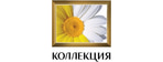 Коллекция