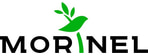 MORINEL