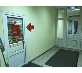 г. Ногинск, ул. Рогожская, д. 65
