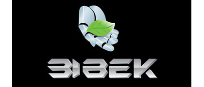 31 ВЕК