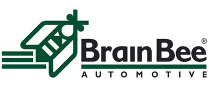 BrainBee