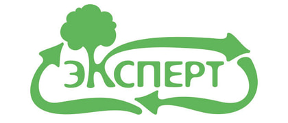 Эксперт