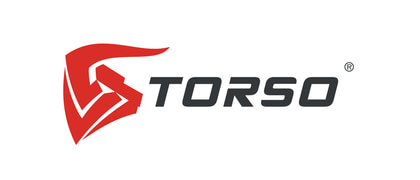 TORSO