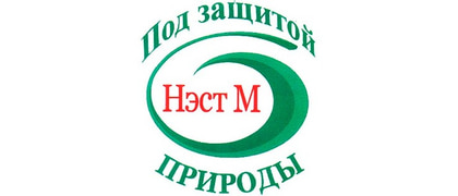 Нэст М