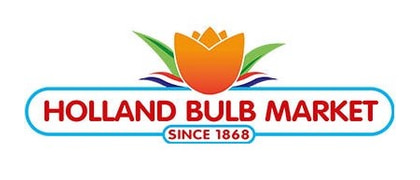 HBM