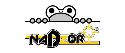 Nadzor