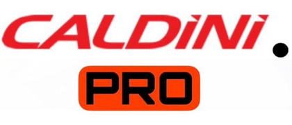 Caldini