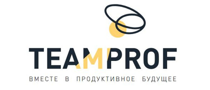 TEAMPROF