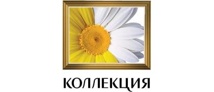Коллекция