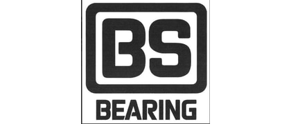 BS Bearing