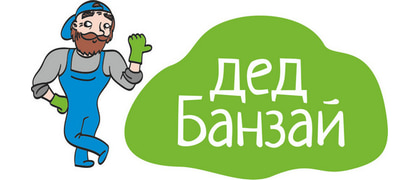 Дед Банзай