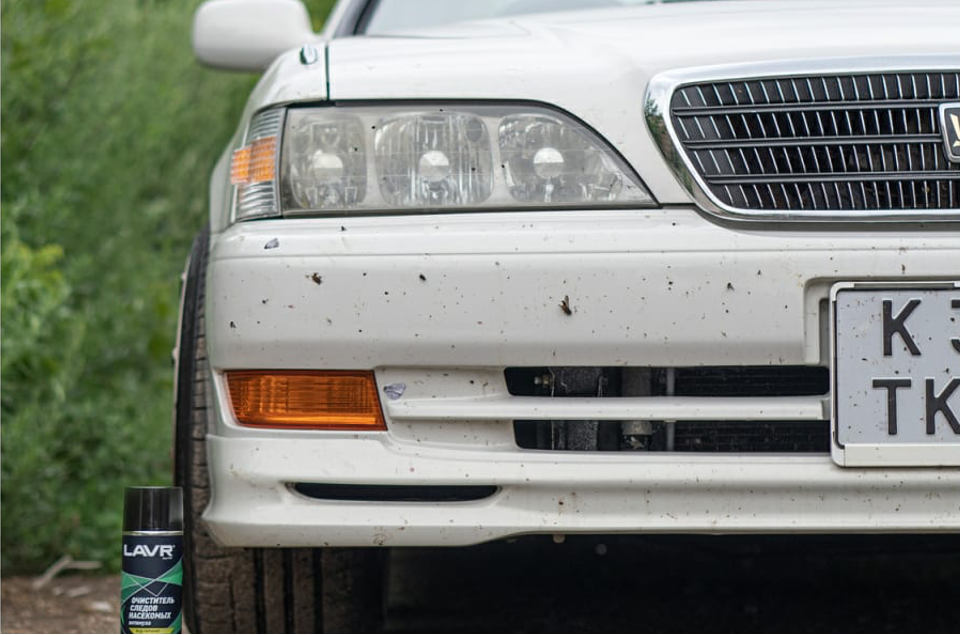 Как убрать следы насекомых с автомобиля